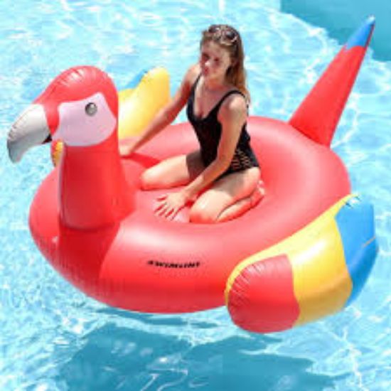 Picture of Giant Inflatable Parrot Pool Float