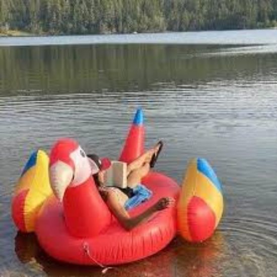 Picture of Giant Inflatable Parrot Pool Float