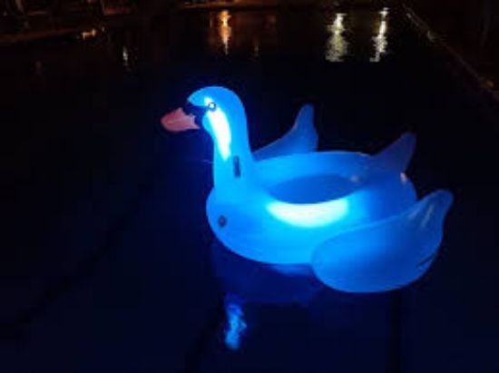 Picture of SWIMLINE ORIGINAL 90702 LED Inflatable Swan Pool Float Floatie Ride-On Lounge 