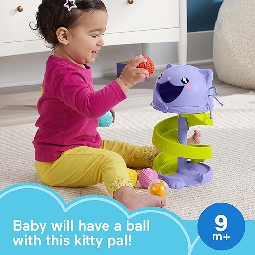 Fisher-Price Baby & Toddler Toy